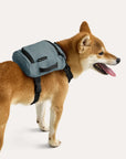 Blast Dog Backpack