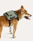 Blast Dog Backpack