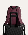 Paz 23L Work Backpack
