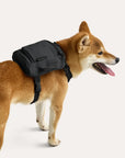 Blast Dog Backpack