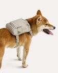 Blast Dog Backpack